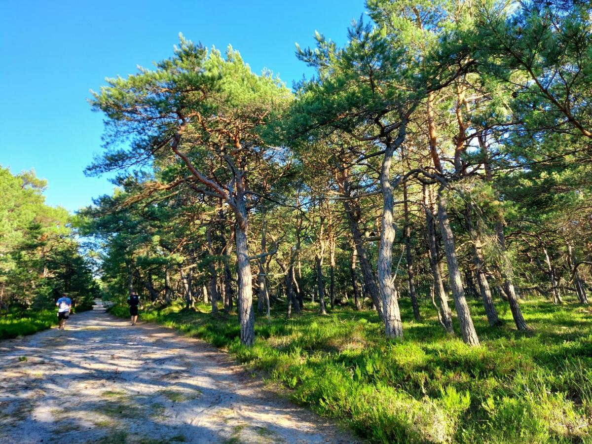 Greyowka Dom Kryty Strzecha W Gardna Park Villa Czysta Exteriör bild